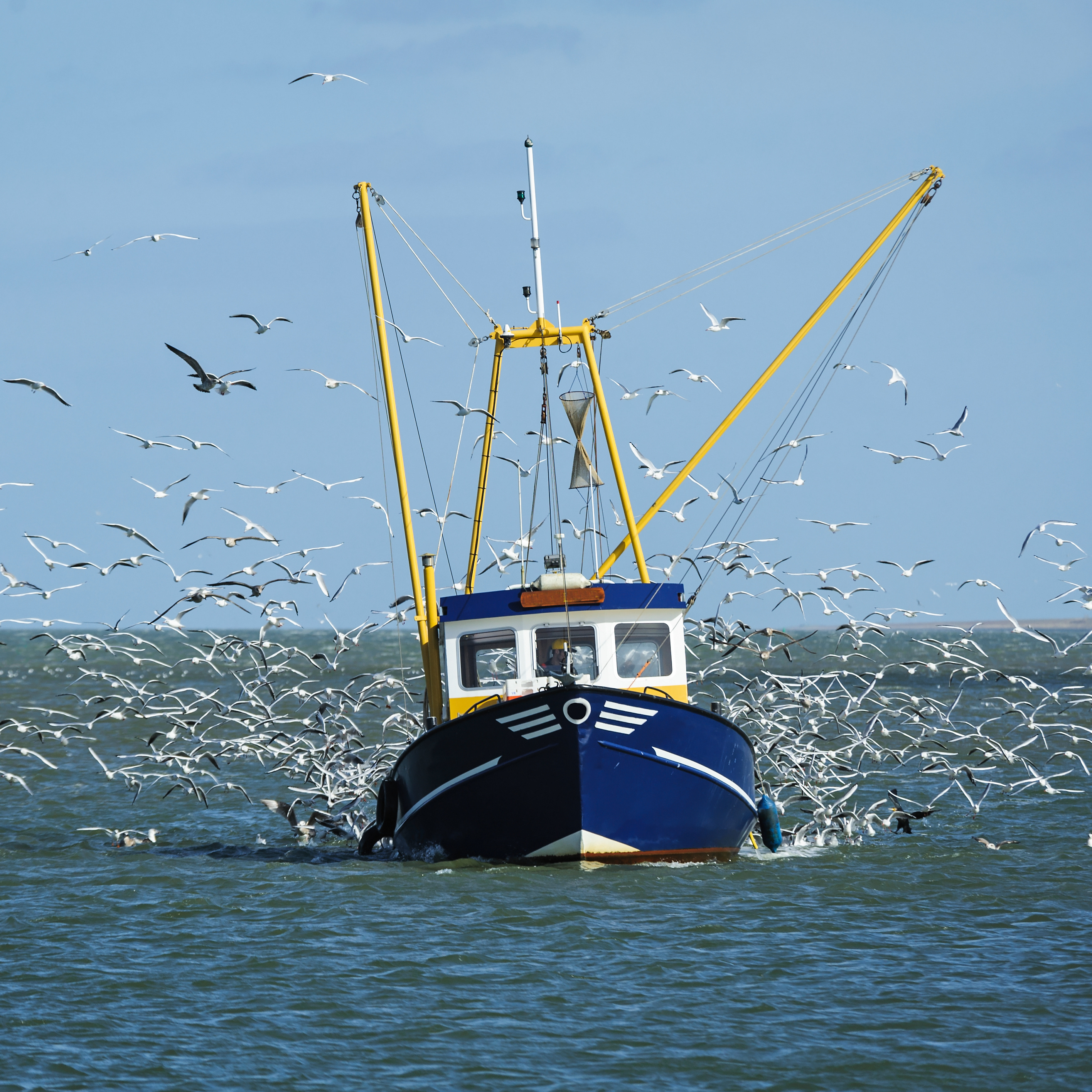 About Railway Street Fisheries